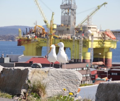 The Role of Proper Centralization in Mitigating Differential Sticking While Running Casing